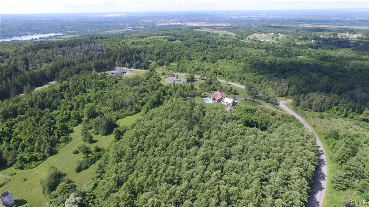 Aerial of Whitney Farm Lane horseshoe