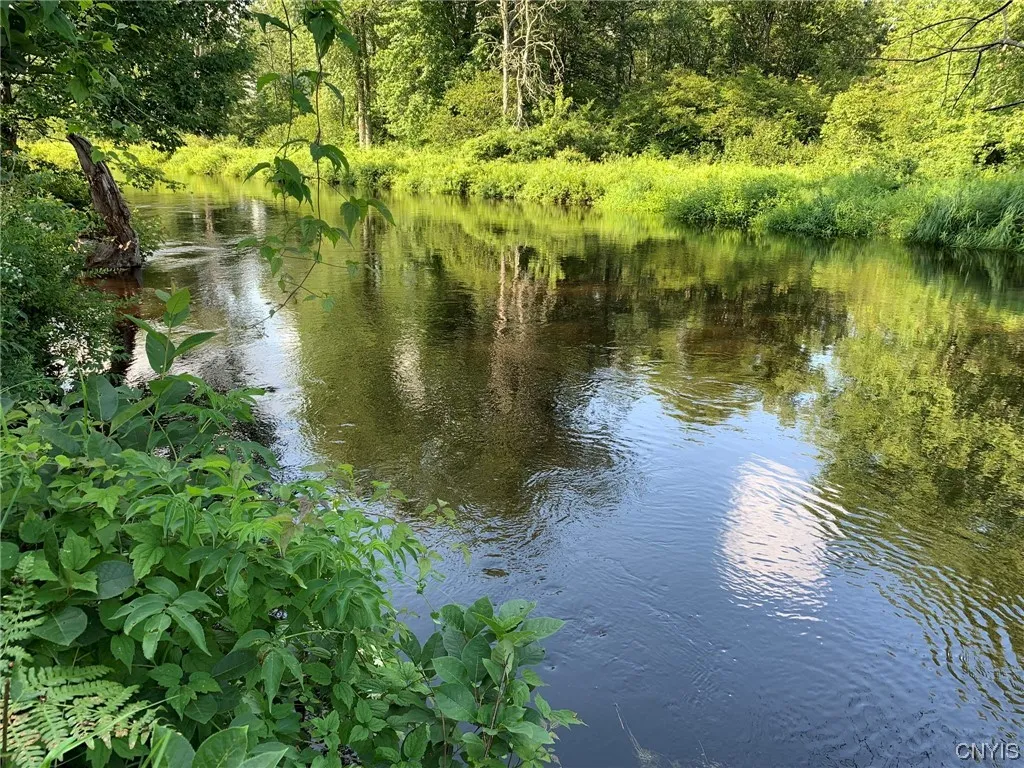 River Shoreline