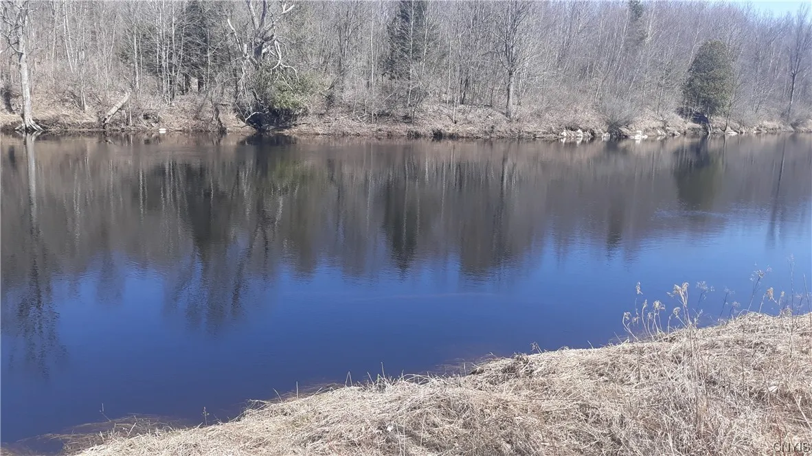 0 Co Route 25, Antwerp, New York 13608, Antwerp, New York 13608, ,Land,For Sale,0 Co Route 25, Antwerp, New York 13608,S1492641