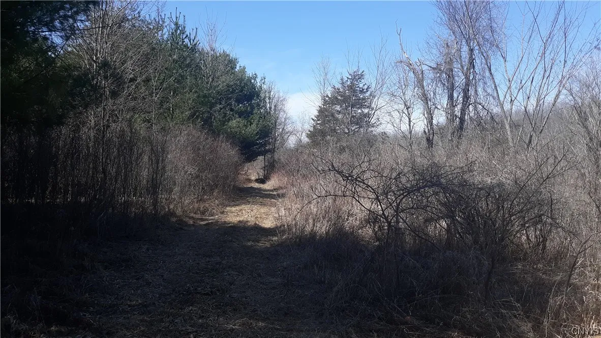 0 Co Route 25, Antwerp, New York 13608, Antwerp, New York 13608, ,Land,For Sale,0 Co Route 25, Antwerp, New York 13608,0,S1492641