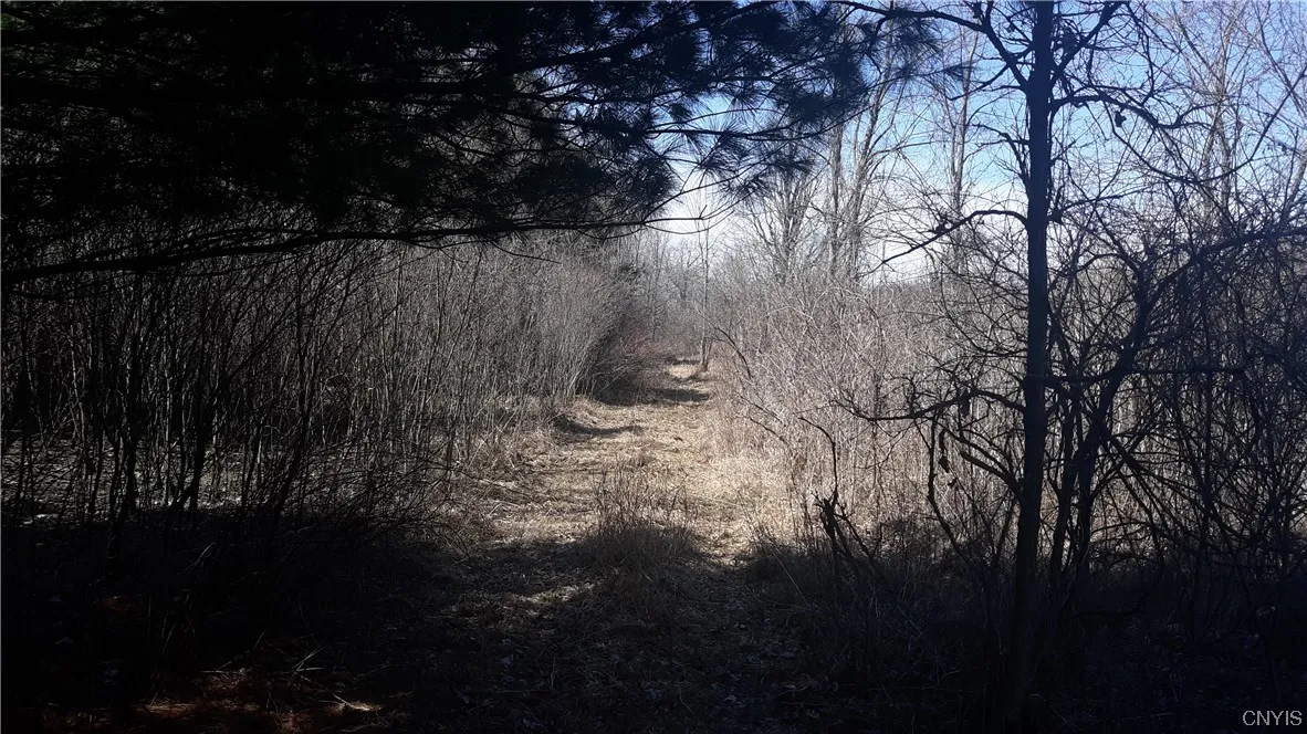 0 Co Route 25, Antwerp, New York 13608, Antwerp, New York 13608, ,Land,For Sale,0 Co Route 25, Antwerp, New York 13608,S1492641