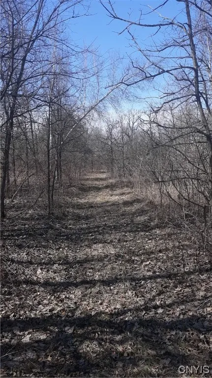 0 Co Route 25, Antwerp, New York 13608, Antwerp, New York 13608, ,Land,For Sale,0 Co Route 25, Antwerp, New York 13608,S1492641