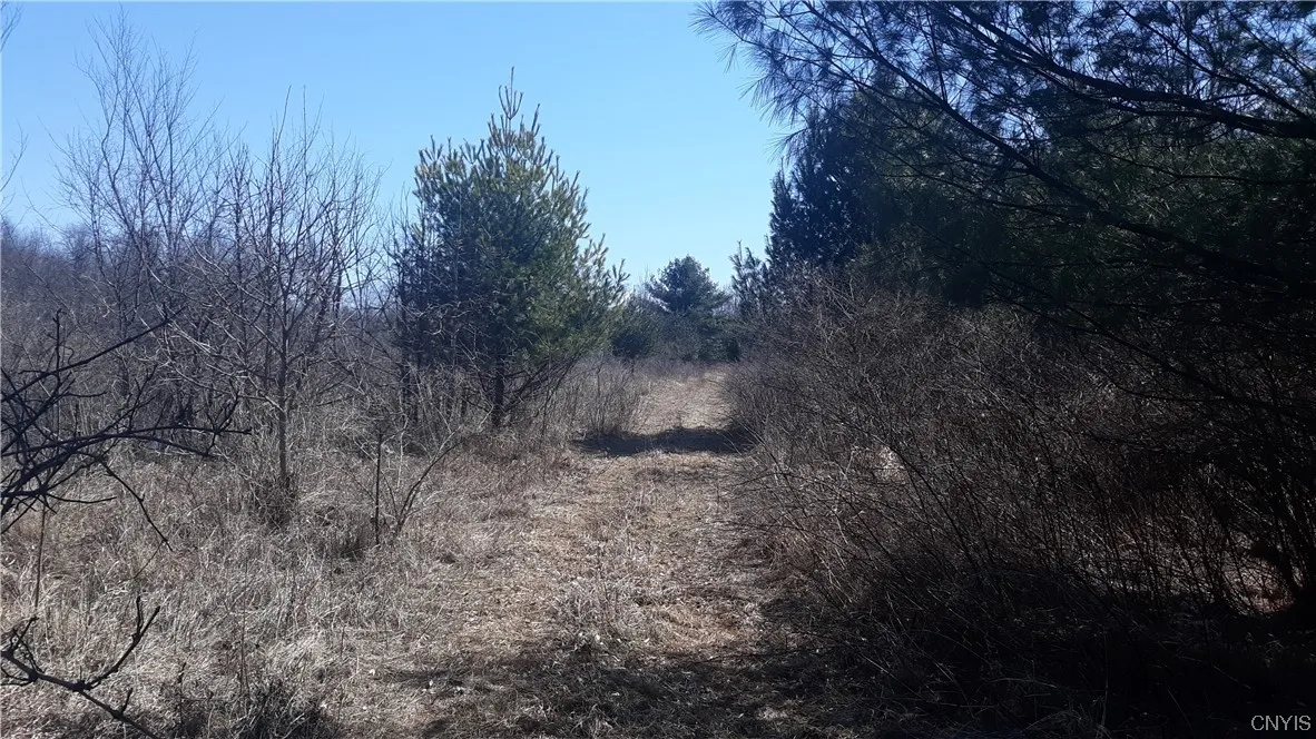 0 Co Route 25, Antwerp, New York 13608, Antwerp, New York 13608, ,Land,For Sale,0 Co Route 25, Antwerp, New York 13608,S1492641
