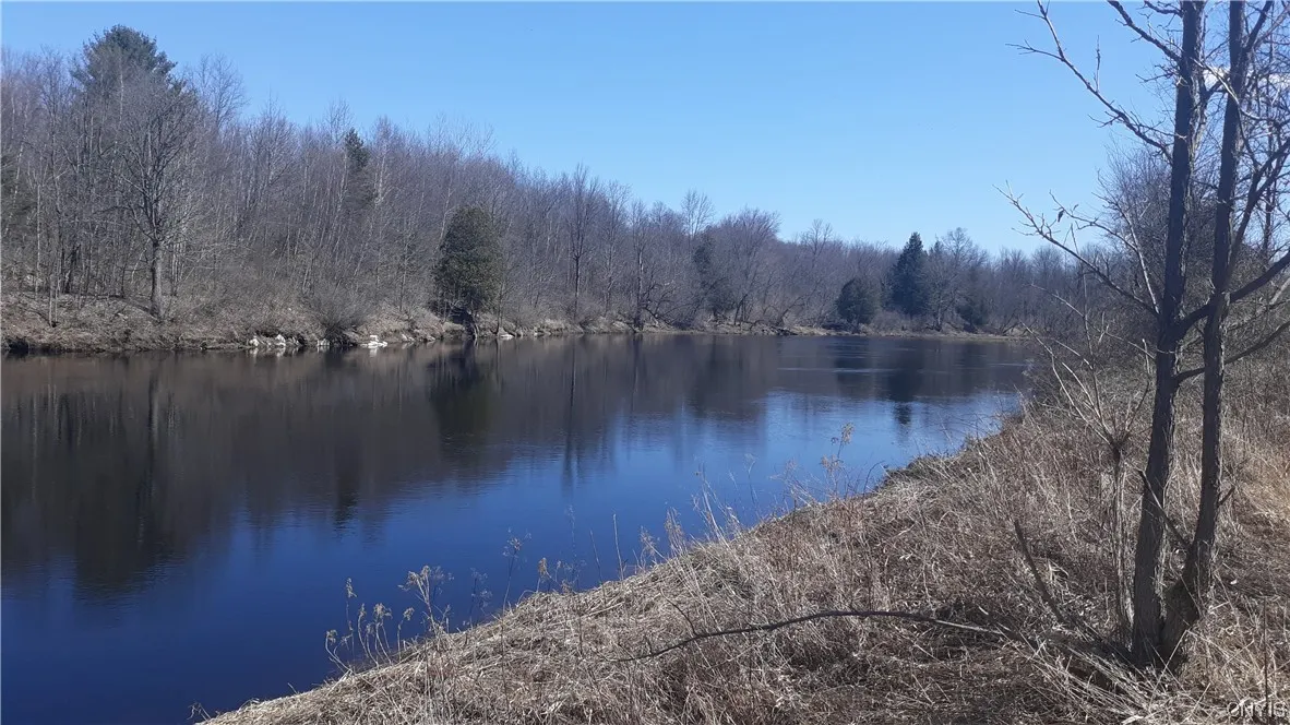 0 Co Route 25, Antwerp, New York 13608, Antwerp, New York 13608, ,Land,For Sale,0 Co Route 25, Antwerp, New York 13608,S1492641