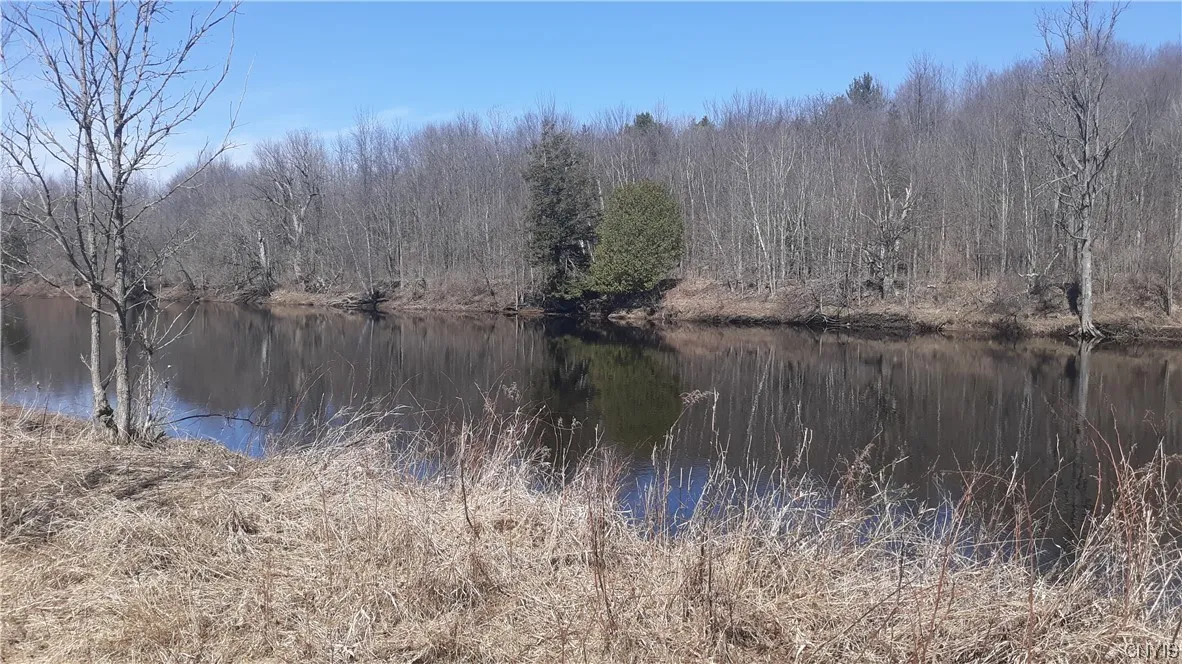 0 Co Route 25, Antwerp, New York 13608, Antwerp, New York 13608, ,Land,For Sale,0 Co Route 25, Antwerp, New York 13608,S1492641