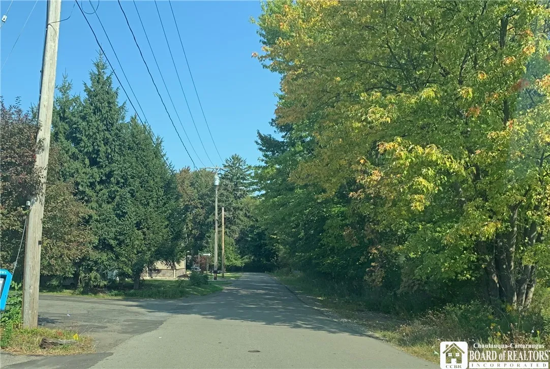 21 Sherman Ave, Ellicott, New York 14701, Ellicott, New York 14701, ,Land,For Sale,21 Sherman Ave, Ellicott, New York 14701,R1497467