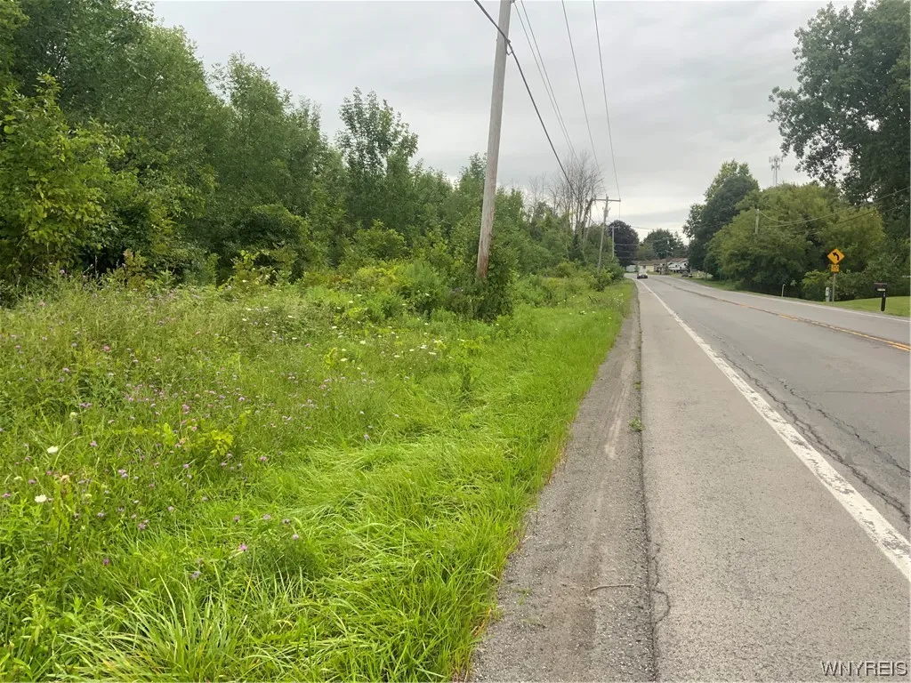 00 Gravel Road North, Ridgeway, New York 14103, Ridgeway, New York 14103, ,Land,For Sale,00 Gravel Road North, Ridgeway, New York 14103,0,B1497694