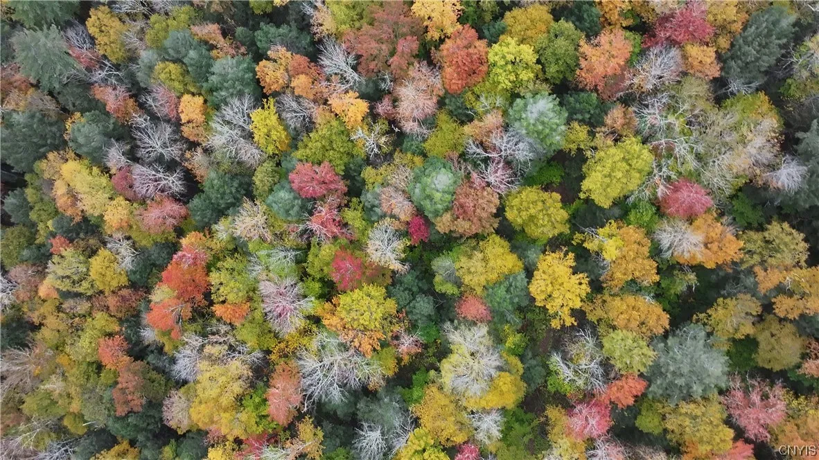 L1 Huntley Hollow Road, Colchester, New York 13752, Colchester, New York 13752, ,Land,For Sale,L1 Huntley Hollow Road, Colchester, New York 13752,0,S1498904