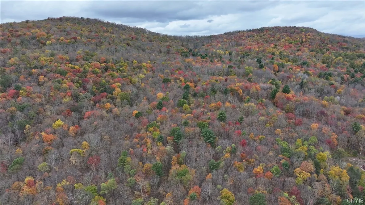 L1 Huntley Hollow Road, Colchester, New York 13752, Colchester, New York 13752, ,Land,For Sale,L1 Huntley Hollow Road, Colchester, New York 13752,0,S1498904