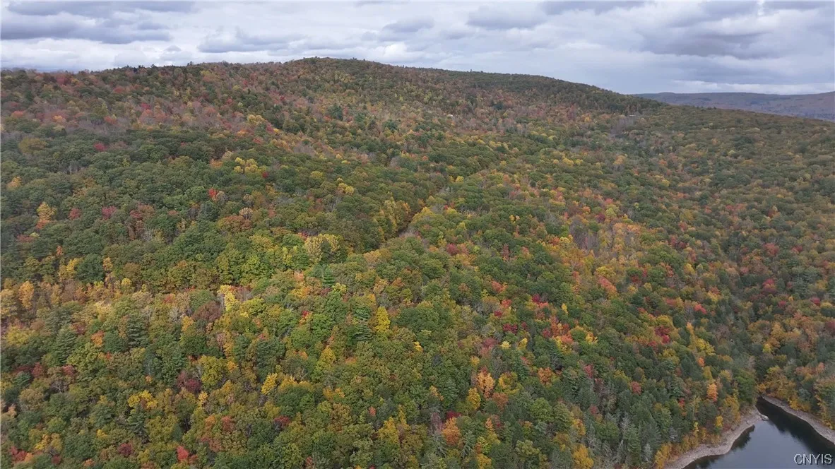 L1 Huntley Hollow Road, Colchester, New York 13752, Colchester, New York 13752, ,Land,For Sale,L1 Huntley Hollow Road, Colchester, New York 13752,0,S1498904