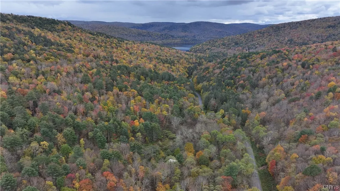 L1 Huntley Hollow Road, Colchester, New York 13752, Colchester, New York 13752, ,Land,For Sale,L1 Huntley Hollow Road, Colchester, New York 13752,0,S1498904