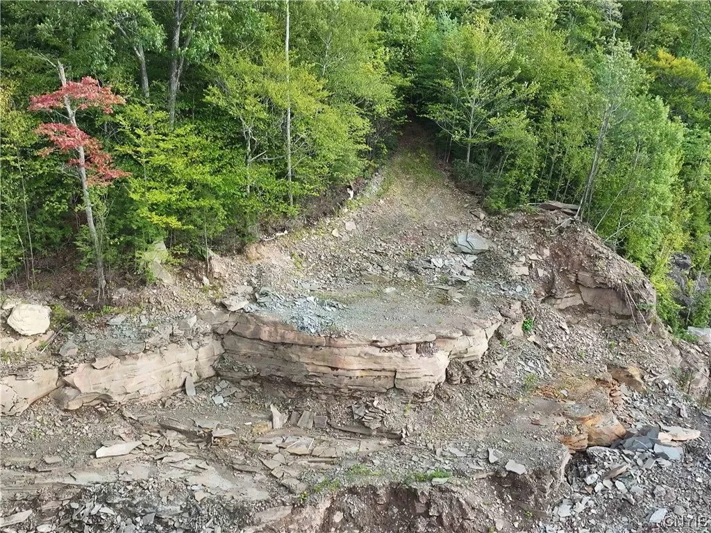 L1 Huntley Hollow Road, Colchester, New York 13752, Colchester, New York 13752, ,Land,For Sale,L1 Huntley Hollow Road, Colchester, New York 13752,0,S1498904