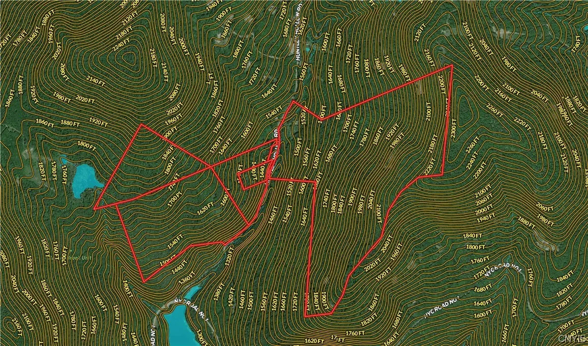 L1 Huntley Hollow Road, Colchester, New York 13752, Colchester, New York 13752, ,Land,For Sale,L1 Huntley Hollow Road, Colchester, New York 13752,0,S1498904