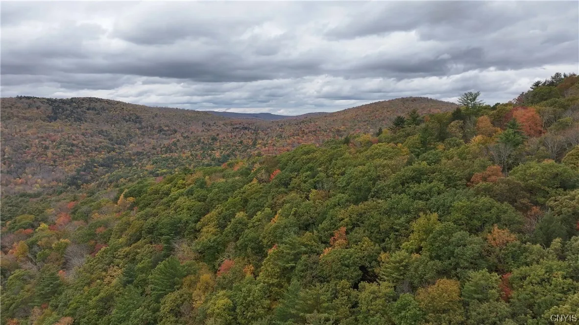 L1 Huntley Hollow Road, Colchester, New York 13752, Colchester, New York 13752, ,Land,For Sale,L1 Huntley Hollow Road, Colchester, New York 13752,0,S1498904