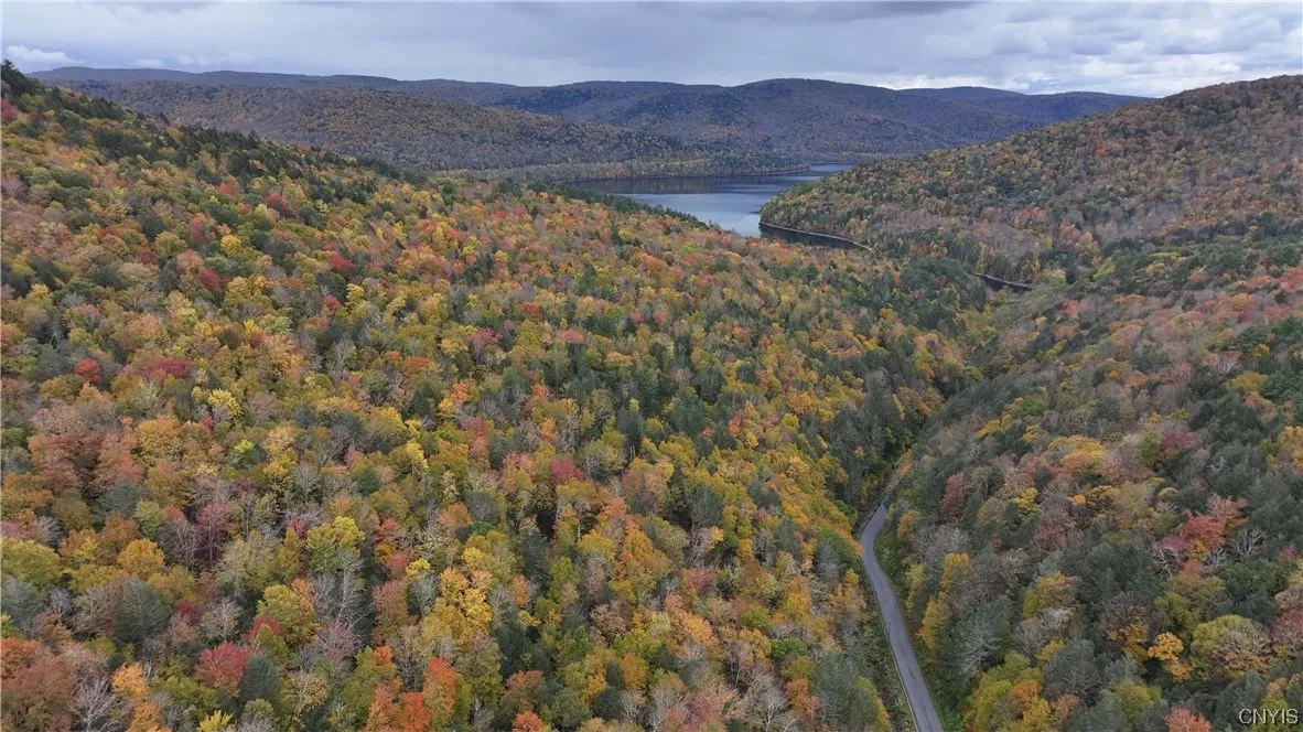 L1 Huntley Hollow Road, Colchester, New York 13752, Colchester, New York 13752, ,Land,For Sale,L1 Huntley Hollow Road, Colchester, New York 13752,0,S1498904