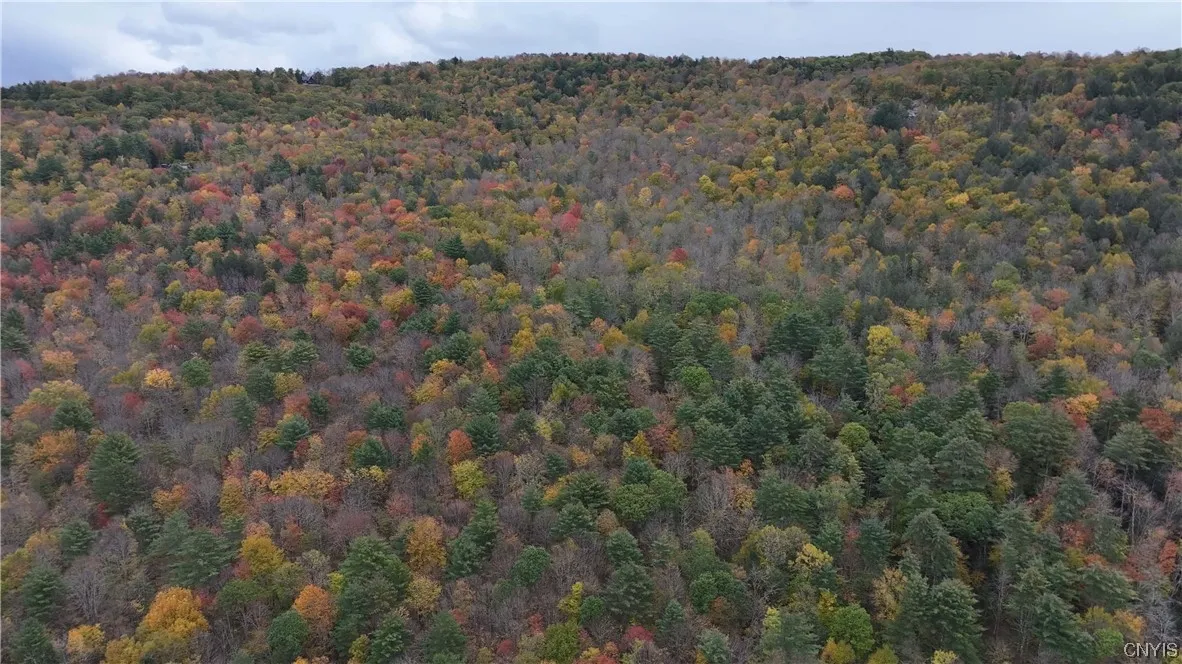 L1 Huntley Hollow Road, Colchester, New York 13752, Colchester, New York 13752, ,Land,For Sale,L1 Huntley Hollow Road, Colchester, New York 13752,0,S1498904