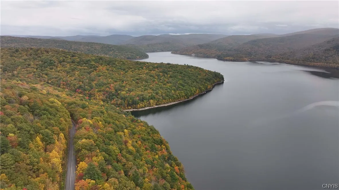 L1 Huntley Hollow Road, Colchester, New York 13752, Colchester, New York 13752, ,Land,For Sale,L1 Huntley Hollow Road, Colchester, New York 13752,0,S1498904