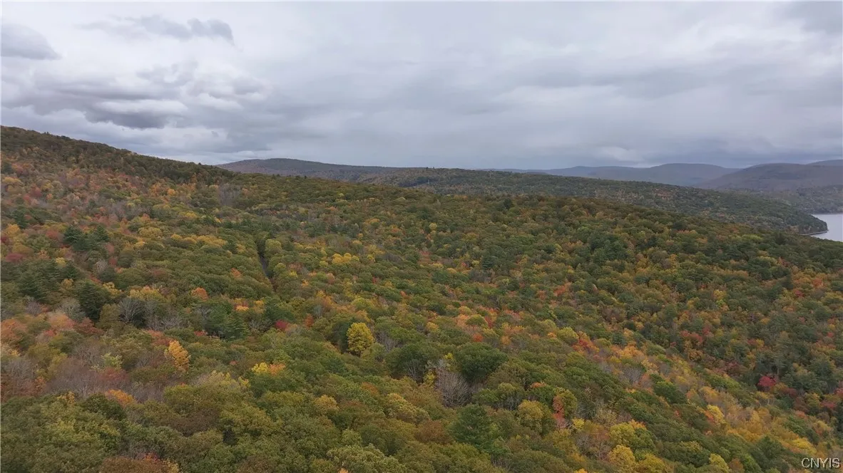 L1 Huntley Hollow Road, Colchester, New York 13752, Colchester, New York 13752, ,Land,For Sale,L1 Huntley Hollow Road, Colchester, New York 13752,0,S1498904