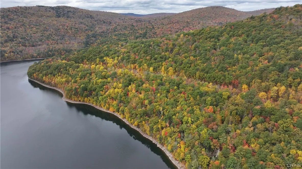 L1 Huntley Hollow Road, Colchester, New York 13752, Colchester, New York 13752, ,Land,For Sale,L1 Huntley Hollow Road, Colchester, New York 13752,0,S1498904
