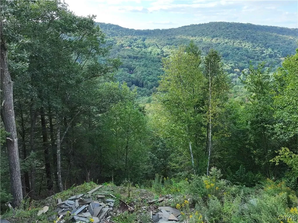 L1 Huntley Hollow Road, Colchester, New York 13752, Colchester, New York 13752, ,Land,For Sale,L1 Huntley Hollow Road, Colchester, New York 13752,0,S1498904