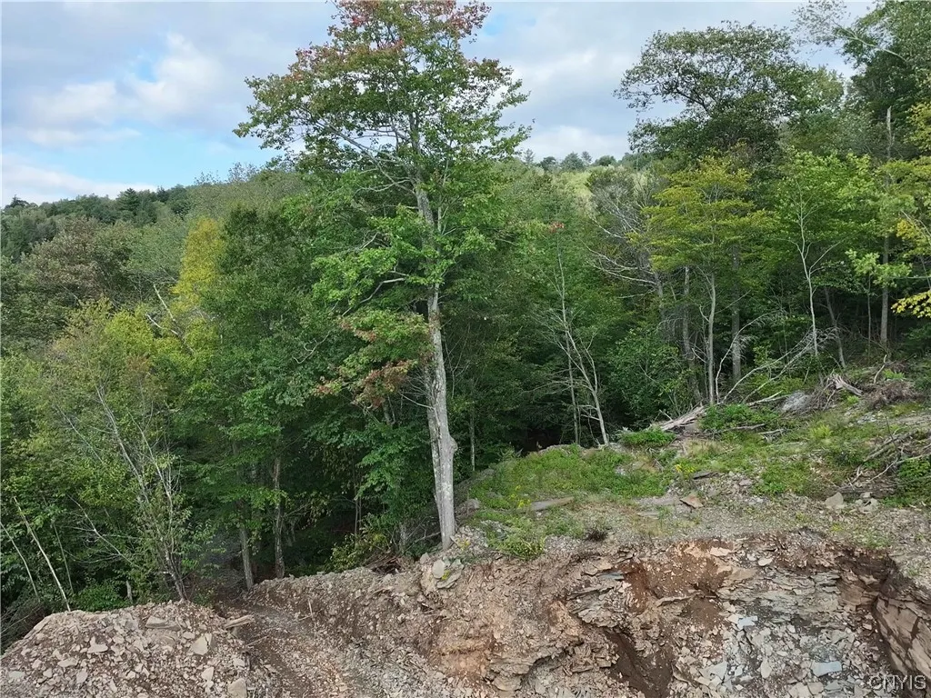 L1 Huntley Hollow Road, Colchester, New York 13752, Colchester, New York 13752, ,Land,For Sale,L1 Huntley Hollow Road, Colchester, New York 13752,0,S1498904