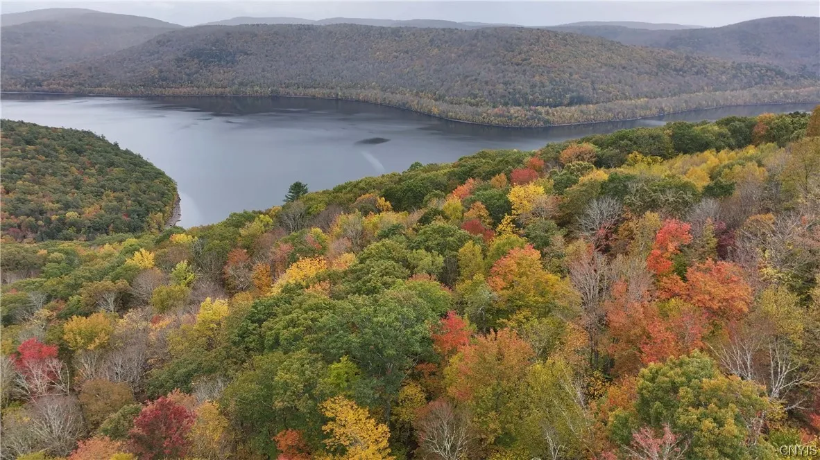 L1 Huntley Hollow Road, Colchester, New York 13752, Colchester, New York 13752, ,Land,For Sale,L1 Huntley Hollow Road, Colchester, New York 13752,0,S1498904