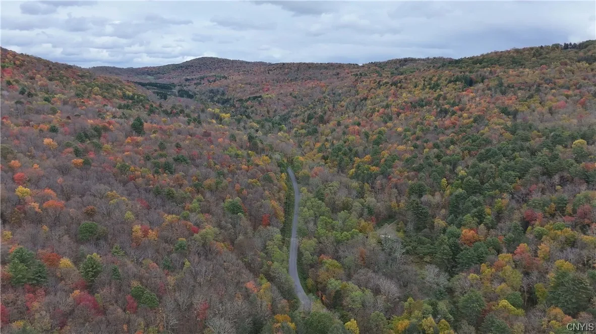 L1 Huntley Hollow Road, Colchester, New York 13752, Colchester, New York 13752, ,Land,For Sale,L1 Huntley Hollow Road, Colchester, New York 13752,0,S1498904