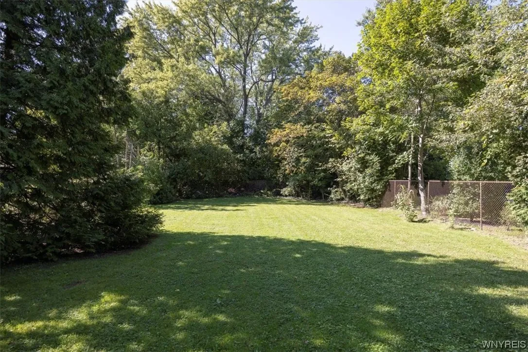 Additional Lot - Back