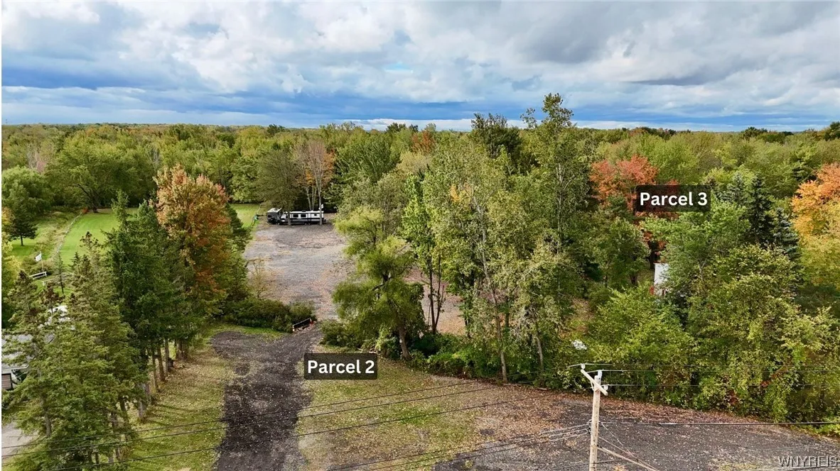 5241 Big Tree Road, Orchard Park, New York 14127, Orchard Park, New York 14127, ,Land,For Sale,5241 Big Tree Road, Orchard Park, New York 14127,0,B1503041