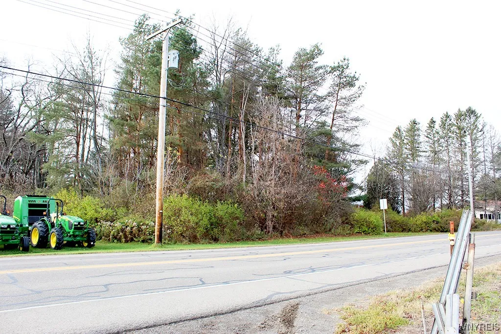 Vl Vaughn Street Lot #6, Concord, New York 14141, Concord, New York 14141, ,Land,For Sale,Vl Vaughn Street Lot #6, Concord, New York 14141,0,B1508073