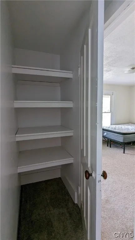 12 Woodruff Street, Cortland, New York 13045, Cortland, New York 13045, 8 Bedrooms Bedrooms, ,3 BathroomsBathrooms,Residential,Closed,12 Woodruff Street, Cortland, New York 13045,0,S1506818