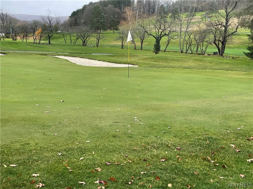 Practice Green