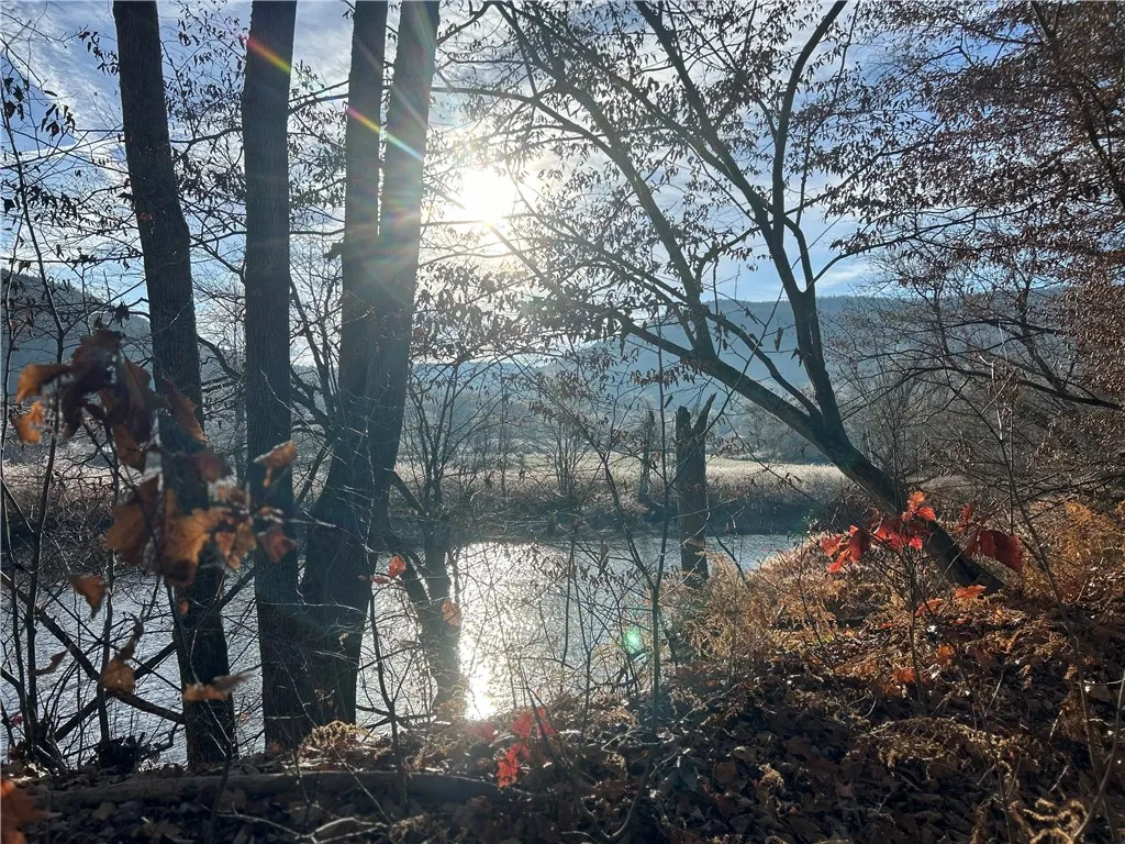 33830 State Highway 10, Hamden, New York 13782, Hamden, New York 13782, ,Land,Closed,33830 State Highway 10, Hamden, New York 13782,R1510277