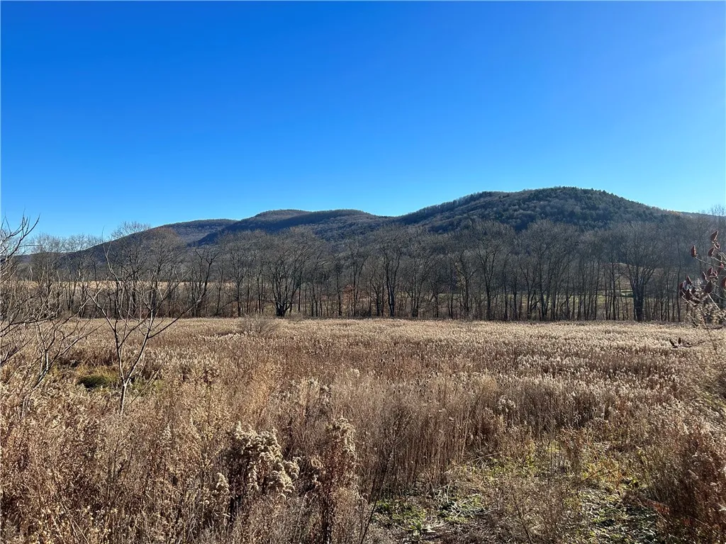 33830 State Highway 10, Hamden, New York 13782, Hamden, New York 13782, ,Land,Closed,33830 State Highway 10, Hamden, New York 13782,R1510277
