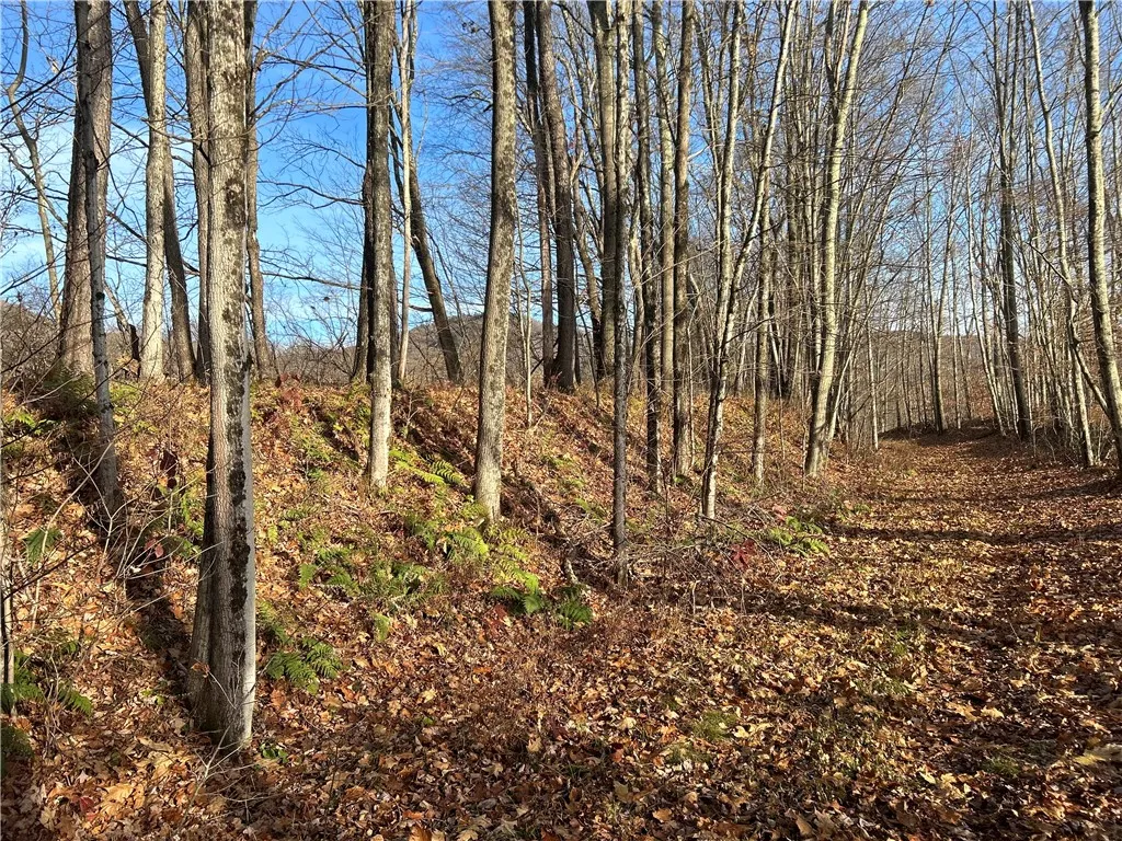 33830 State Highway 10, Hamden, New York 13782, Hamden, New York 13782, ,Land,Closed,33830 State Highway 10, Hamden, New York 13782,R1510277