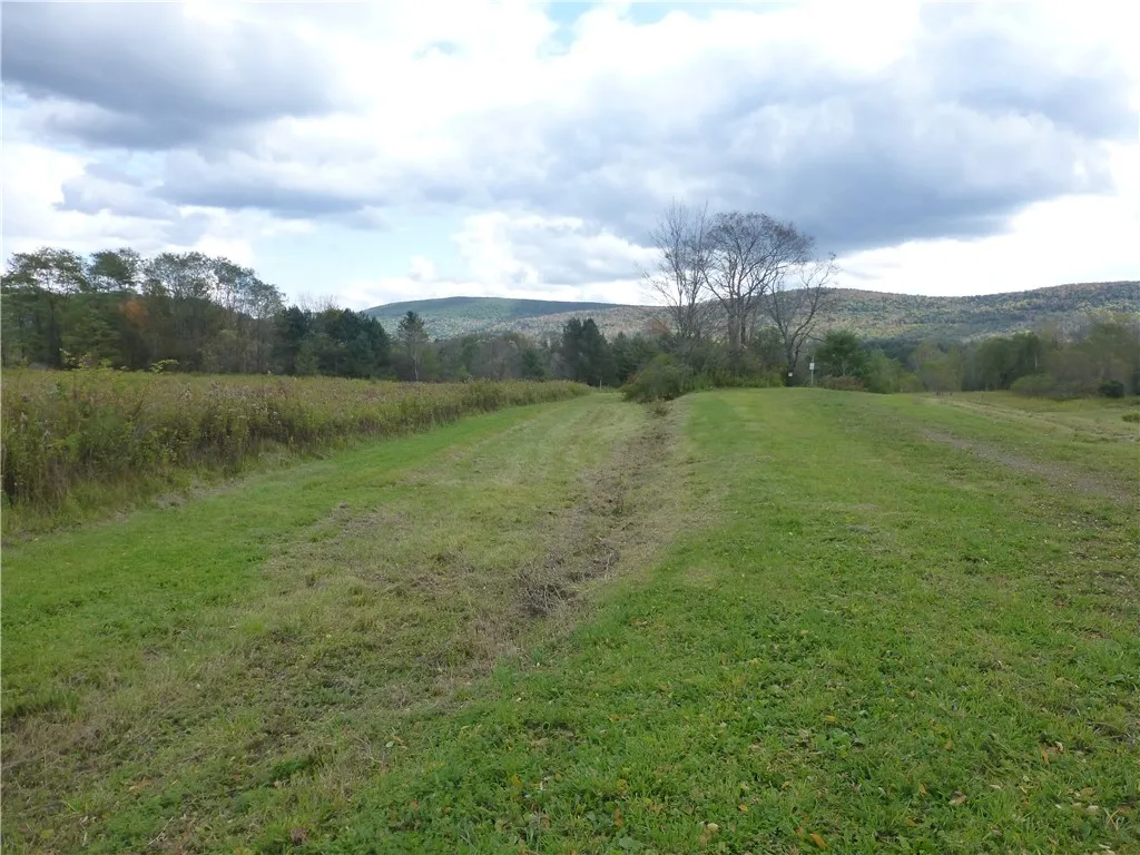 4740 State Highway 28, Hartwick, New York 13326, Hartwick, New York 13326, ,Land,For Sale,4740 State Highway 28, Hartwick, New York 13326,0,R1512021