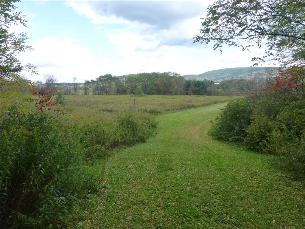 4740 State Highway 28, Hartwick, New York 13326, Hartwick, New York 13326, ,Land,For Sale,4740 State Highway 28, Hartwick, New York 13326,0,R1512021