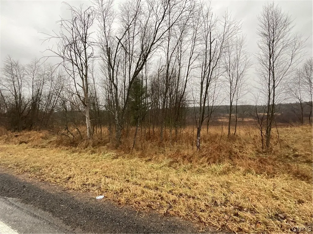 0 County Route 41, Wilna, New York 13665, Wilna, New York 13665, ,Land,For Sale,0 County Route 41, Wilna, New York 13665,S1511782