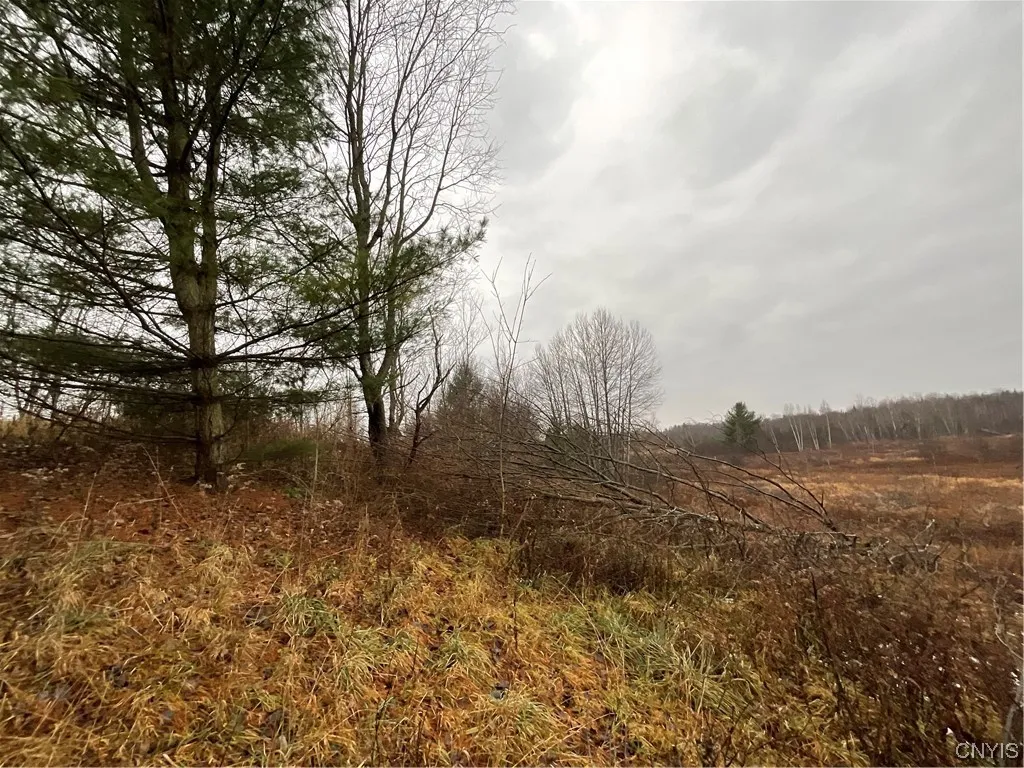 0 County Route 41, Wilna, New York 13665, Wilna, New York 13665, ,Land,For Sale,0 County Route 41, Wilna, New York 13665,S1511782