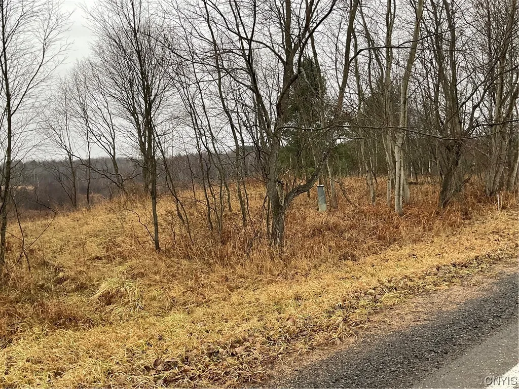 0 County Route 41, Wilna, New York 13665, Wilna, New York 13665, ,Land,For Sale,0 County Route 41, Wilna, New York 13665,S1511782