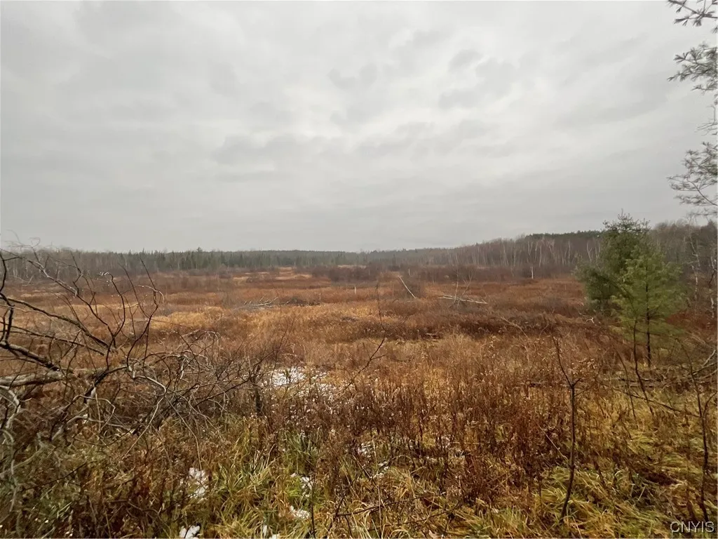 0 County Route 41, Wilna, New York 13665, Wilna, New York 13665, ,Land,For Sale,0 County Route 41, Wilna, New York 13665,S1511782