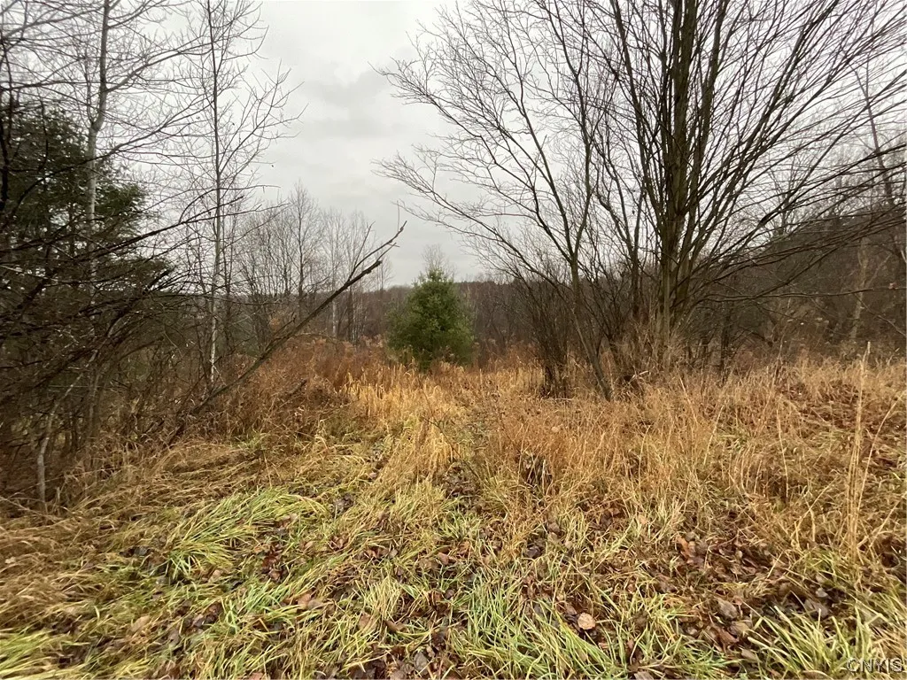 0 County Route 41, Wilna, New York 13665, Wilna, New York 13665, ,Land,For Sale,0 County Route 41, Wilna, New York 13665,S1511782
