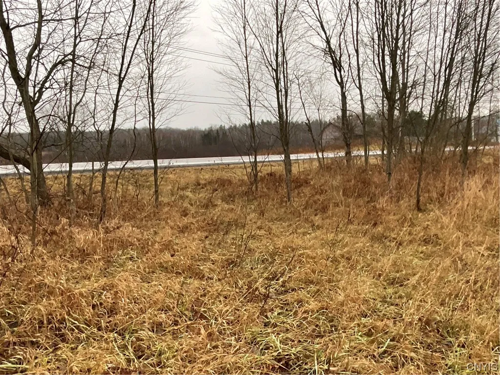 0 County Route 41, Wilna, New York 13665, Wilna, New York 13665, ,Land,For Sale,0 County Route 41, Wilna, New York 13665,S1511782