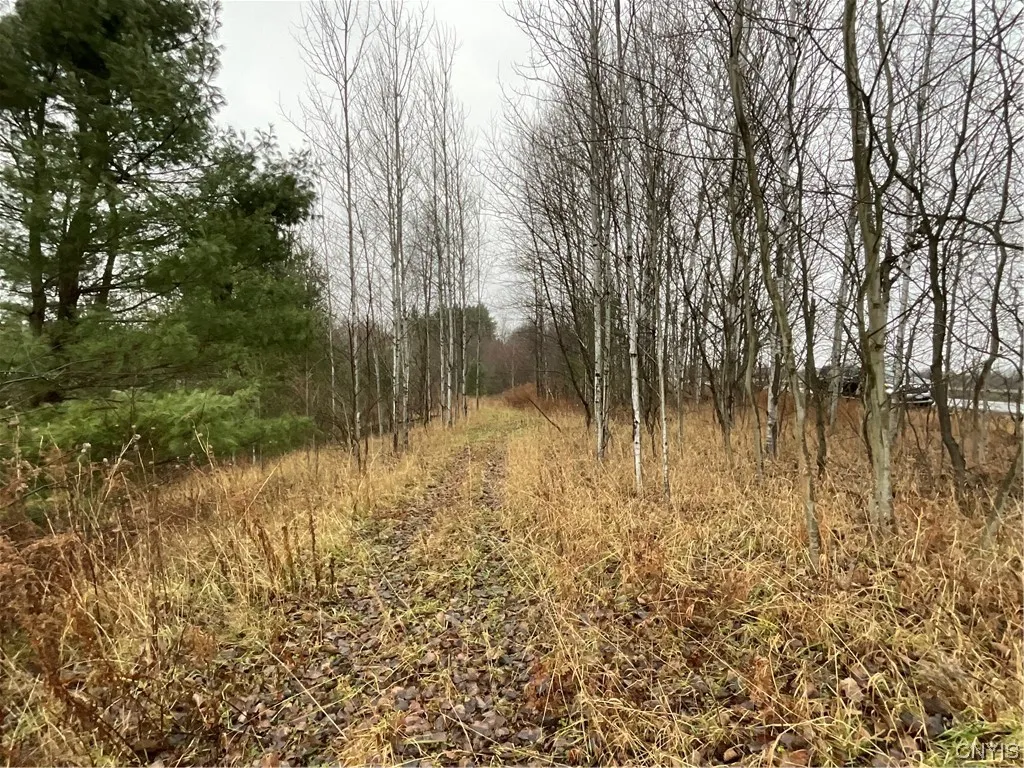 0 County Route 41, Wilna, New York 13665, Wilna, New York 13665, ,Land,For Sale,0 County Route 41, Wilna, New York 13665,S1511782