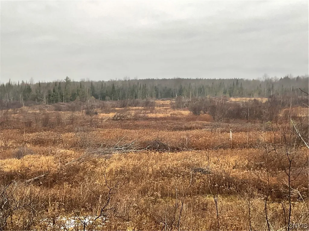 0 County Route 41, Wilna, New York 13665, Wilna, New York 13665, ,Land,For Sale,0 County Route 41, Wilna, New York 13665,S1511782