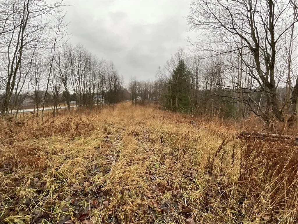 0 County Route 41, Wilna, New York 13665, Wilna, New York 13665, ,Land,For Sale,0 County Route 41, Wilna, New York 13665,S1511782