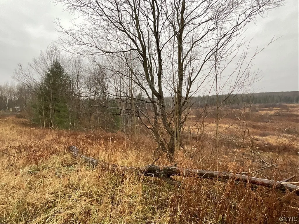 0 County Route 41, Wilna, New York 13665, Wilna, New York 13665, ,Land,For Sale,0 County Route 41, Wilna, New York 13665,S1511782