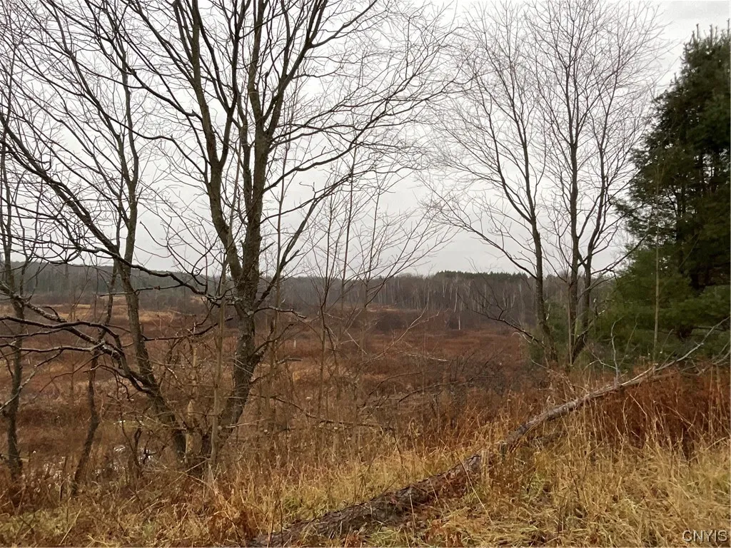0 County Route 41, Wilna, New York 13665, Wilna, New York 13665, ,Land,For Sale,0 County Route 41, Wilna, New York 13665,S1511782