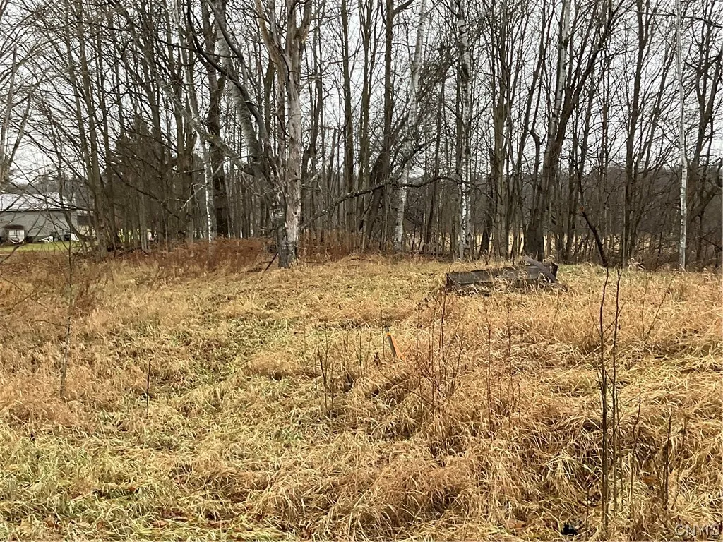 0 County Route 41, Wilna, New York 13665, Wilna, New York 13665, ,Land,For Sale,0 County Route 41, Wilna, New York 13665,S1511782