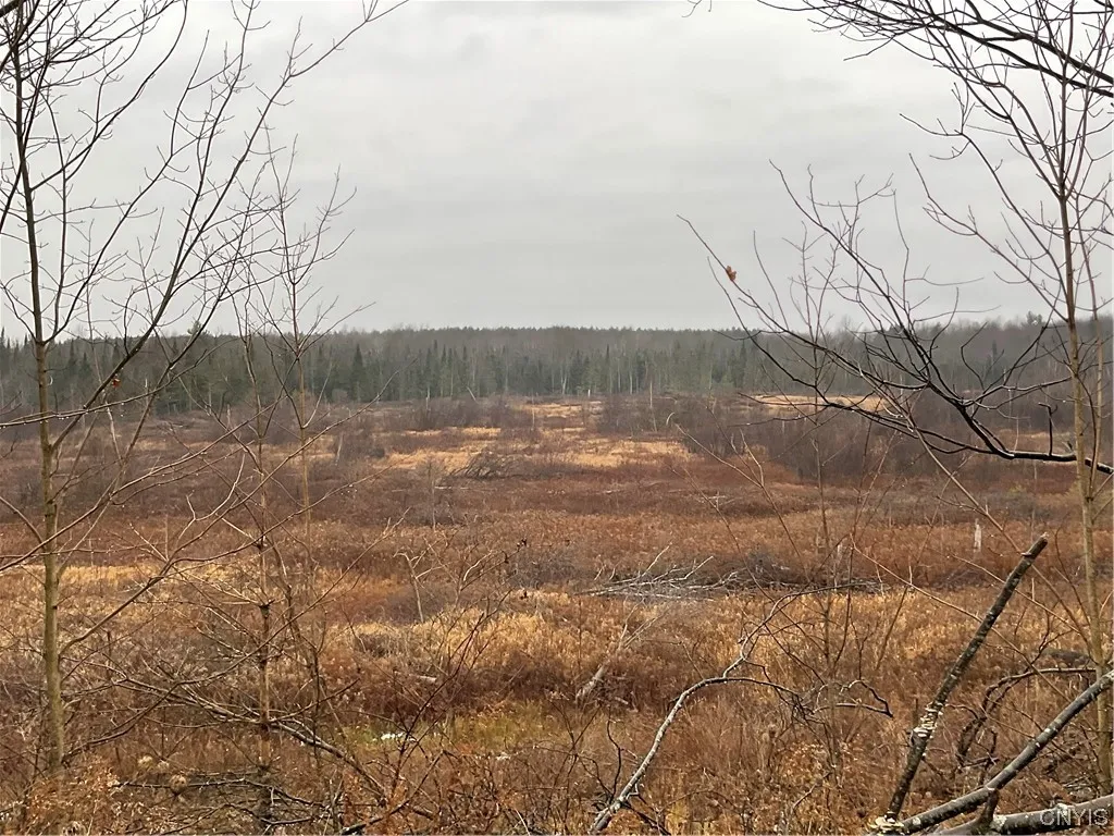 0 County Route 41, Wilna, New York 13665, Wilna, New York 13665, ,Land,For Sale,0 County Route 41, Wilna, New York 13665,S1511782